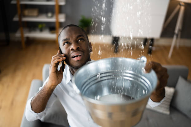 Best Flood restoration services  in Lincoln Park, NY