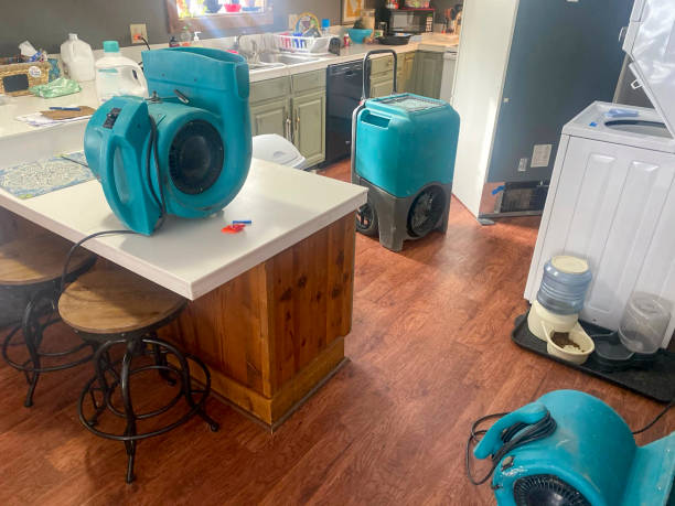 Best Water damage contractors near me  in Lincoln Park, NY