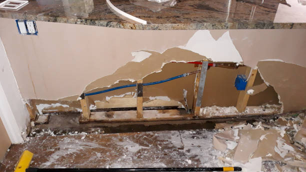 Best Flood damage cleanup  in Lincoln Park, NY