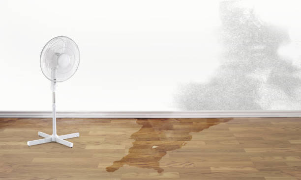 Best Sewage cleanup and water damage restoration  in Lincoln Park, NY