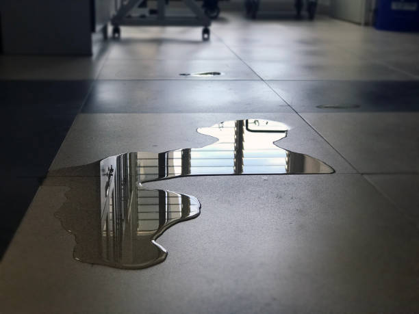 Best Water damage repair service  in Lincoln Park, NY