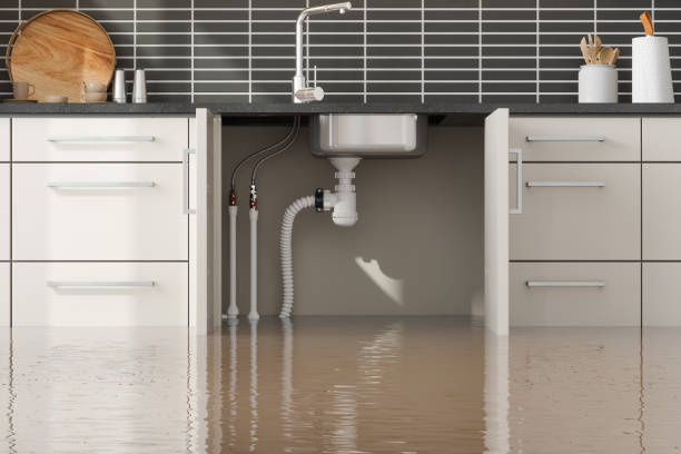 Best Water damage cleanup near me  in Lincoln Park, NY