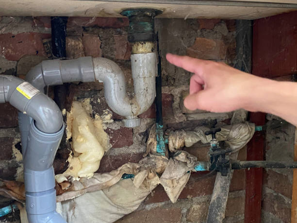 Best Mold removal after water damage  in Lincoln Park, NY