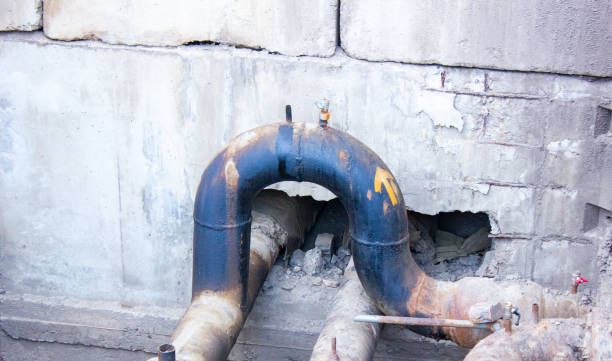Best Local water damage restoration  in Lincoln Park, NY