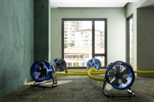 Best Emergency water damage restoration  in Lincoln Park, NY